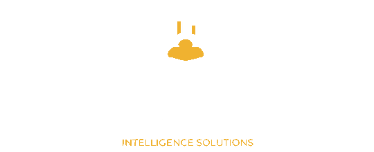 Scarab intelligence solutions